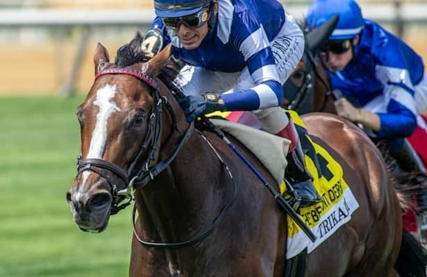 Barn Tour: Motion updates on Trikari + 10 other stakes runners