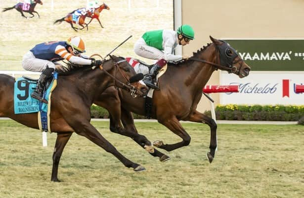 Del Mar: Truly Quality rallies to take Hollywood Turf Cup