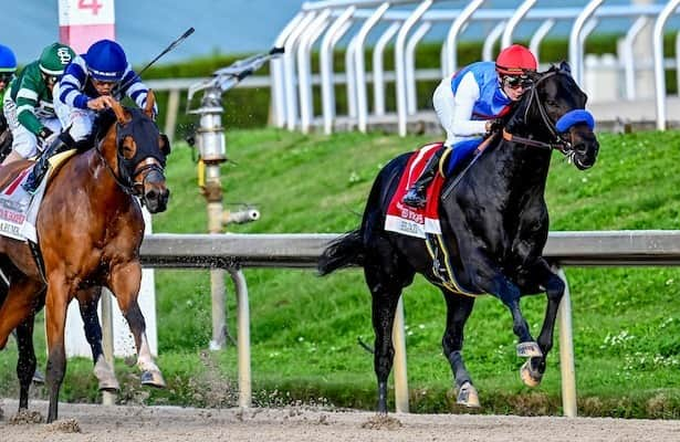 Gulfstream Park: Tumbarumba leads 8 in Harlan’s Holiday