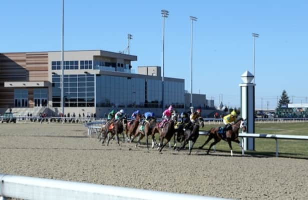 Turfway Park’s holiday meet starts Dec. 4 with increased purses