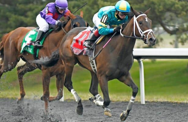 Turfway will return to Thursday-Saturday racing in February