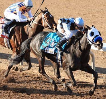 Twice The Appeal Upsets Sunland Derby