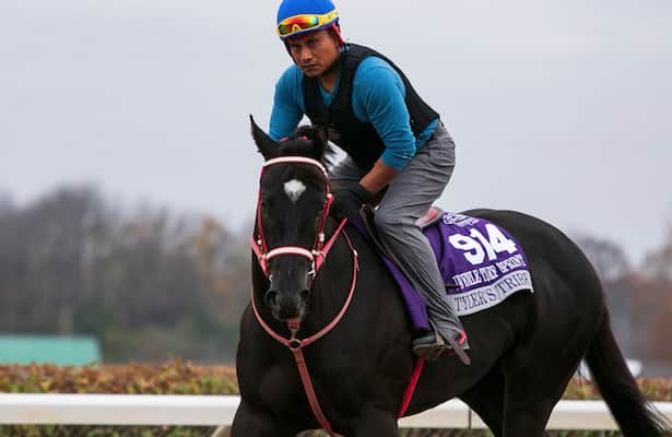 Tyler's Tribe is the 3-5 favorite in Friday stakes at Oaklawn