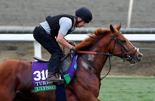 European Horses in the 2017 Breeders Cup Contenders and Pretenders