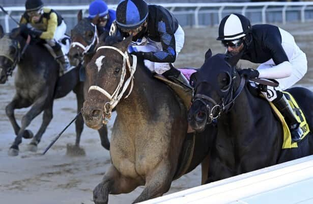 Ky Derby Prep Uncle Heavy Gets Nose Down In Withers Upset   Uncle Heavy 2024 Withers NYRA 615x400 