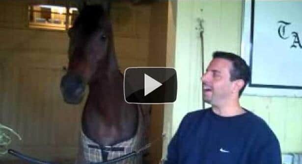 Uncle Mo Exclusive - On the 2011 Kentucky Derby Trail