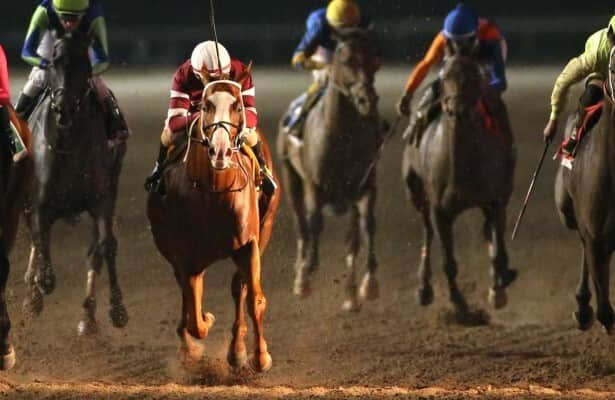 Unload is favored in Downs at Albuquerque Handicap