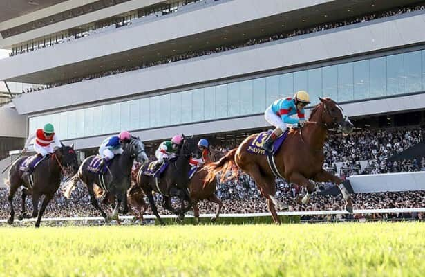 Urban Chic pulls away to win Kikuka Sho, Japan’s St. Leger