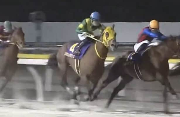 Video: BC Classic hopefuls finish 2nd, 5th in final Japan prep