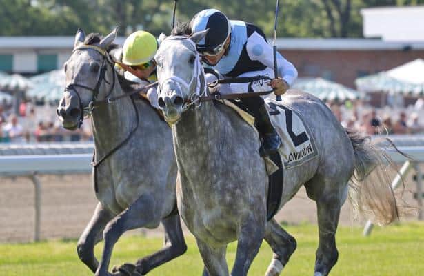 Valiance to scratch from Ogden Phipps with temperature problem