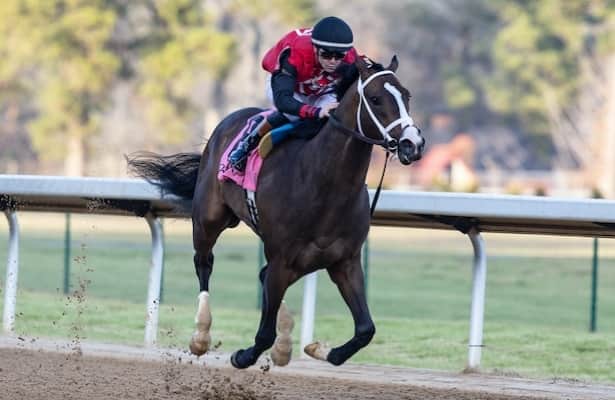 Early Look: See possibles for the Risen Star, Rachel Alexandra