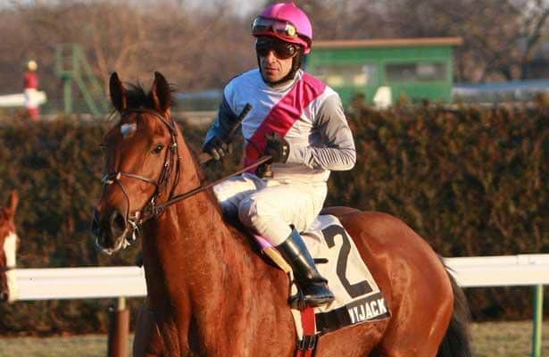 Kentucky Derby 2013: Vyjack is a Riddle Wrapped in an Enigma