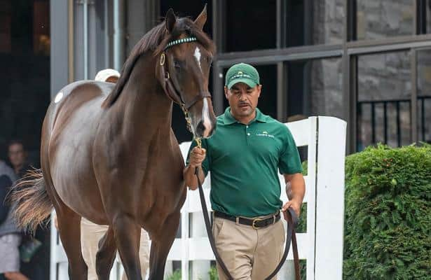 China Horse Club, WinStar team on $1.1 million Keeneland colt