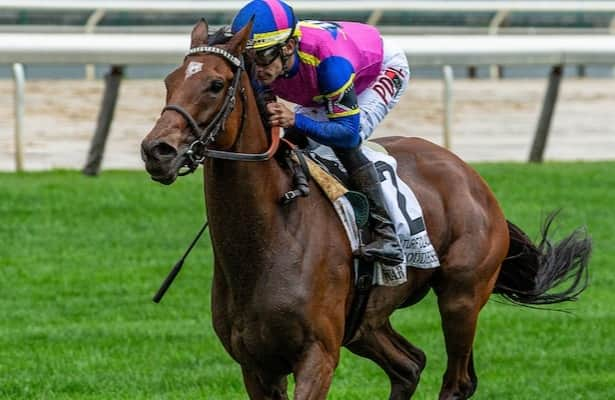 War Like Goddess goes for 3-peat in Joe Hirsch Turf Classic