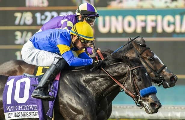 Santa Anita: Watchtower noses out Medoro in Autumn Miss