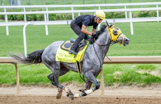 West Saratoga, Society Man return in Matt Winn