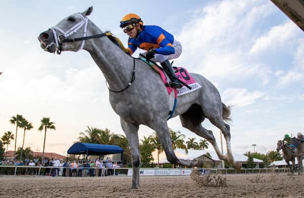 Saturday plays: White Abarrio can wire field in Cigar Mile 
