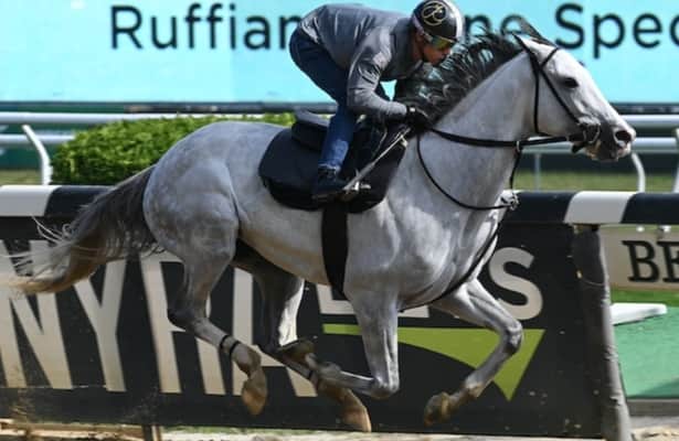 Met Mile: Dutrow is confident in his new charge White Abarrio