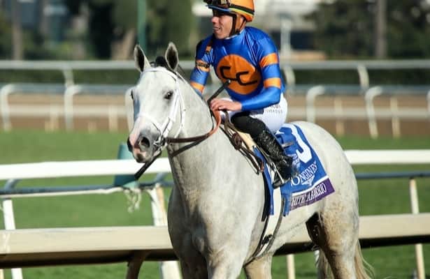 Boarman wins Breeders’ Cup Betting Challenge with record total