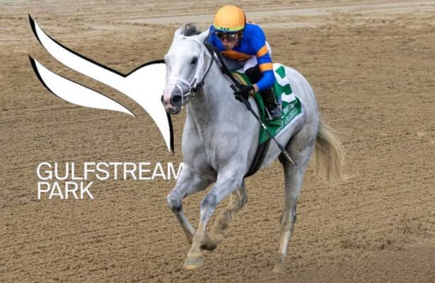 Gulfstream Park guide: Odds, PPs, more for Mr. Prospector