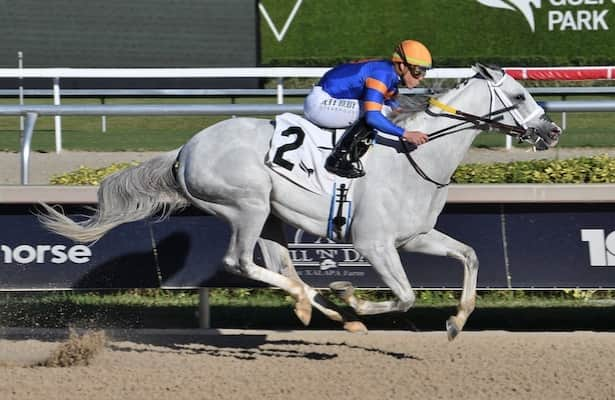 White Abarrio cruises to victory in return at Gulfstream Park