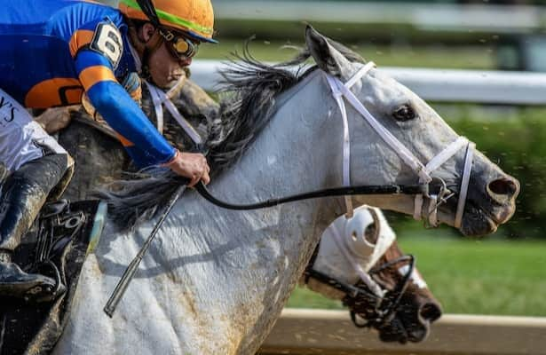 Tuesday works: 13 graded-stakes winners are on the tab