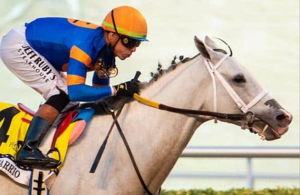 Thursday works: White Abarrio preps for Oaklawn Handicap