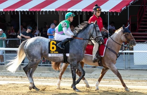 Friday works: 32 graded-stakes winners are on the tab