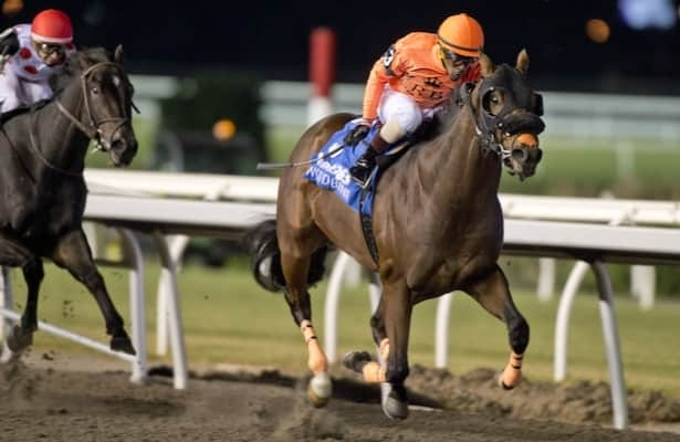 Woodbine: Wicked Django upsets Autumn for 1st stakes win