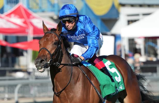 Horses to Watch: 6 worth your attention, 1 to drop