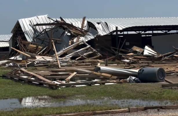 Tornado hits Will Rogers Downs; 1 horse dies, others are moved