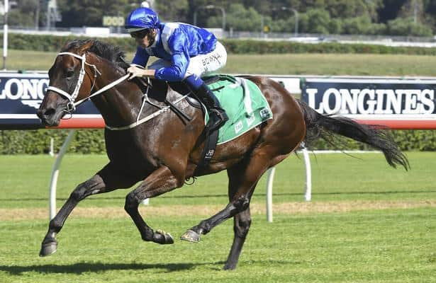 Winx leads World s Best Racehorse Rankings Ascot winner moves up