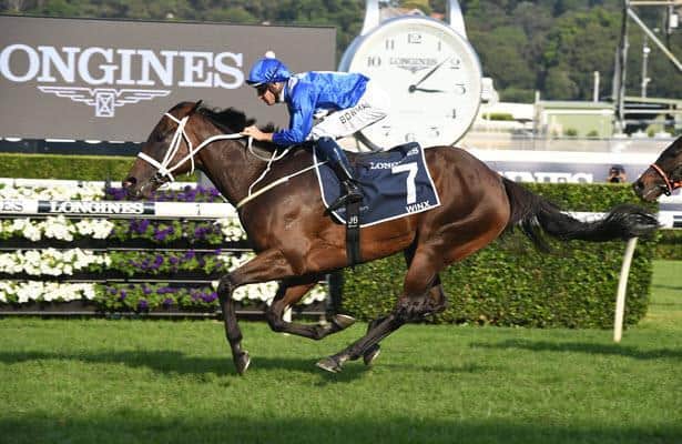 Daughter of 25-time Group 1 winner Winx will sell publicly