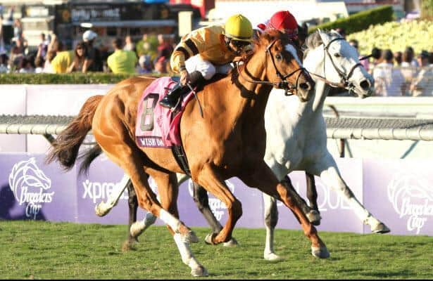 Wise Dan should not be Champion Older Male