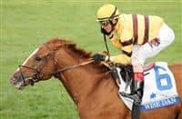 October 04, 2014: Wise Dan and jockey John Velazquez win the 29th running of the Shadwell Turf Mile Grade 1 "Win and You're In Mile Division" $1,000,000 at Keeneland Racecourse for owner Morton Fink and trainer Charles LoPresti . Candice Chavez/ESW/CSM