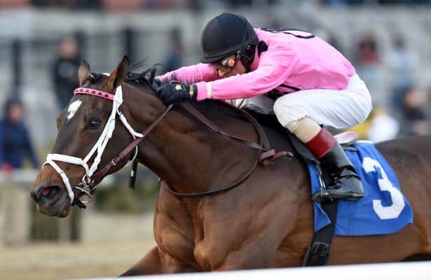 Why a filly needs to try the 2018 Kentucky Derby trail