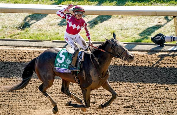 Work tab: See details for 15 graded-stakes winners