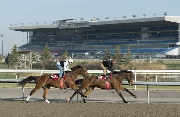 Woodbine: Updated fields with scratches, changes for Mile day