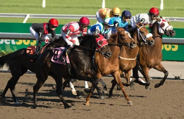 Woodbine is ‘confident’ in track surface after maintenance work