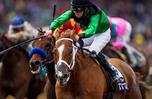 Breeders’ Cup Repeat not in the cards for Work All Week