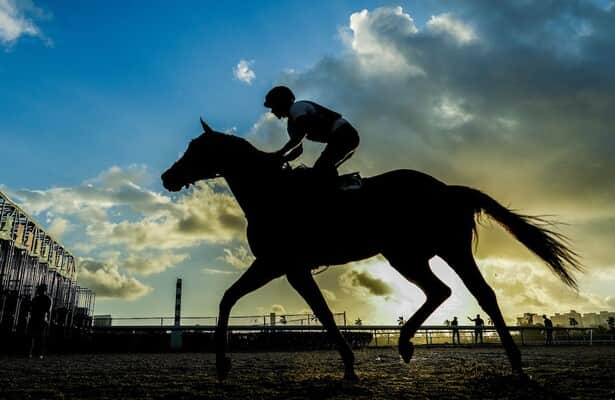 Gulfstream will resume racing Sunday after flooding interruption