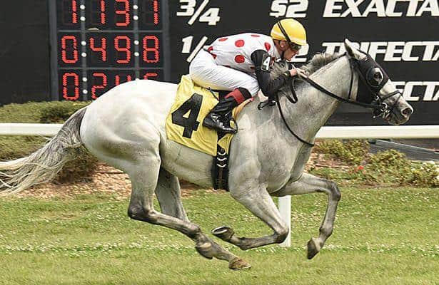 World Approval shines on Florida Cup Day