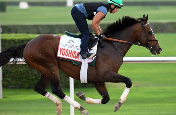 Yoshida takes a familiar path back to the Breeders' Cup Classic