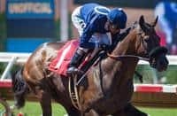August 8 2015: Young Brian with Rafael Bejarano up wins the a MSW race at Del Mar Race Course in Del Mar CA. Zoe Metz/ESW/CSM