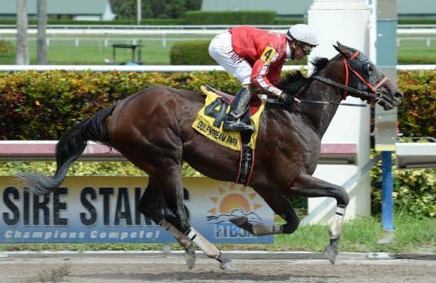 Yourdreamsormine Makes Graded Stakes Debut in Mr. Prospector