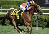 Zagora with Javier Castellano atop, wins the Grade 1 Diana Stakes at Saratoga Race Track on July 30, 2011.