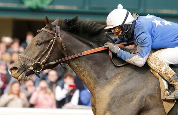 Report: Preakness is questionable for Zandon; Travers is goal 