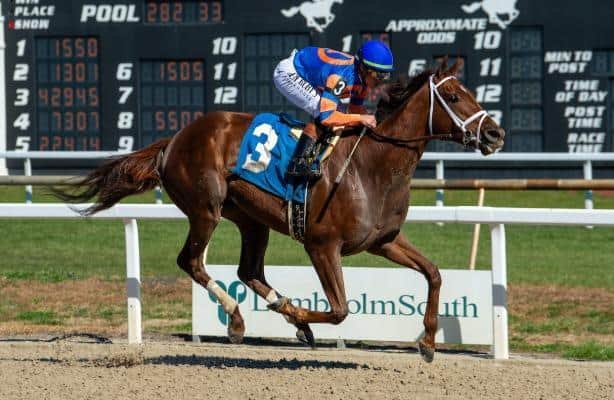 Kentucky Oaks trail: Zany lives up to the hype in Suncoast
