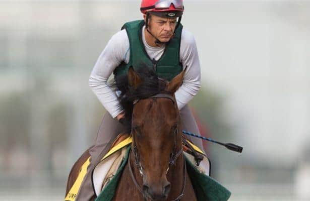 Trainer Royer Dupre Hopes for Another Successful Trip to Meydan