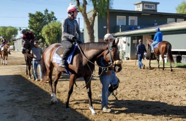 Zenyatta's 2-year-old filly, 'strong and opinionated,' enters training